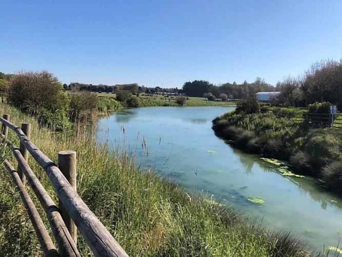 Le Cocon De Nacre - A 300M De La Plage - Wifi Courseulles-sur-Mer Eksteriør bilde
