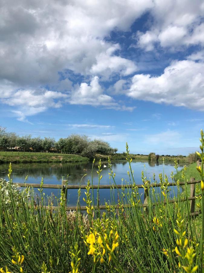 Le Cocon De Nacre - A 300M De La Plage - Wifi Courseulles-sur-Mer Eksteriør bilde